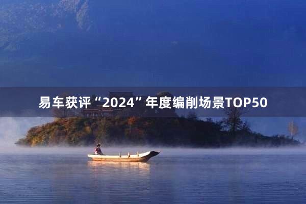 易车获评“2024”年度编削场景TOP50