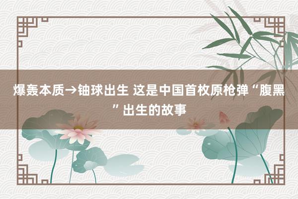 爆轰本质→铀球出生 这是中国首枚原枪弹“腹黑”出生的故事