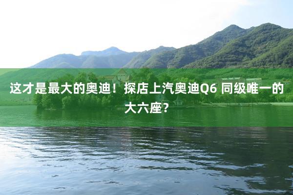 这才是最大的奥迪！探店上汽奥迪Q6 同级唯一的大六座？