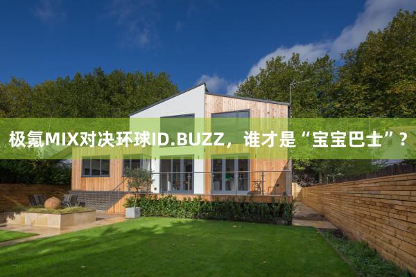 极氪MIX对决环球ID.BUZZ，谁才是“宝宝巴士”？