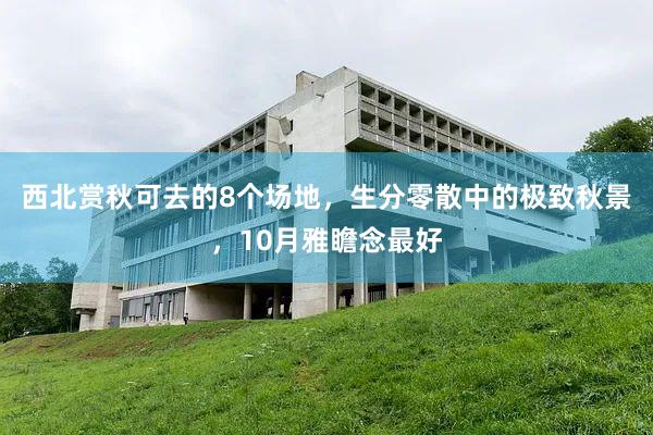 西北赏秋可去的8个场地，生分零散中的极致秋景，10月雅瞻念最好